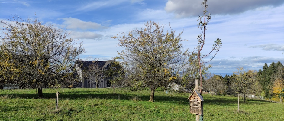 Aufwertung Unterg&auml;dmen